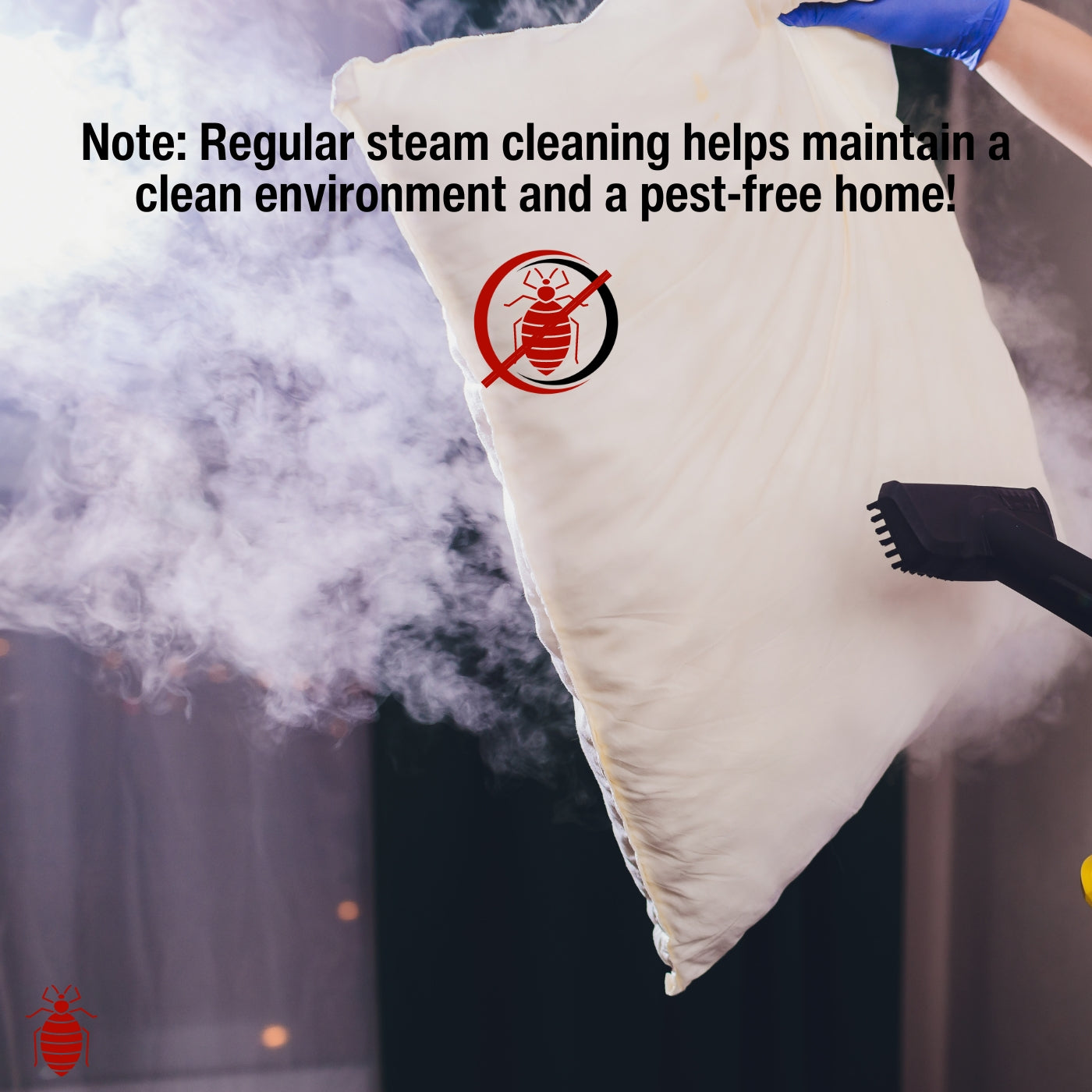 Handheld Steam Cleaner for Bed Bugs