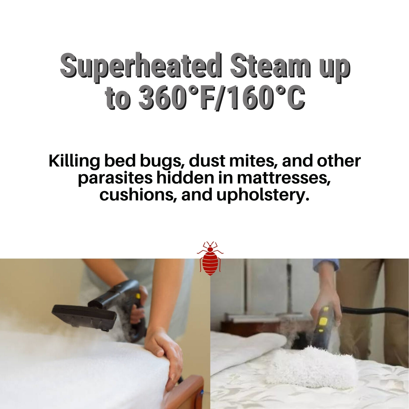 steam cleaner for bedbugs