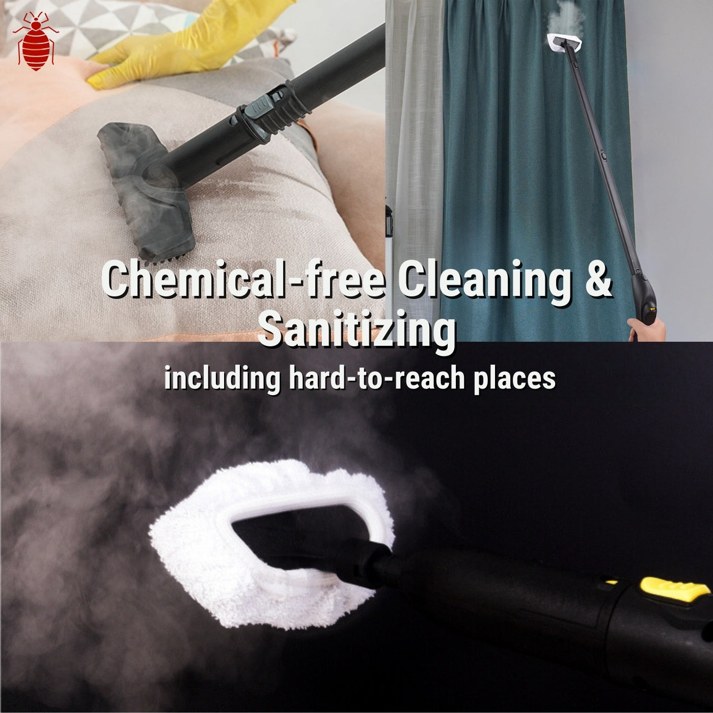 cleaning with steam cleaner for bedbugs