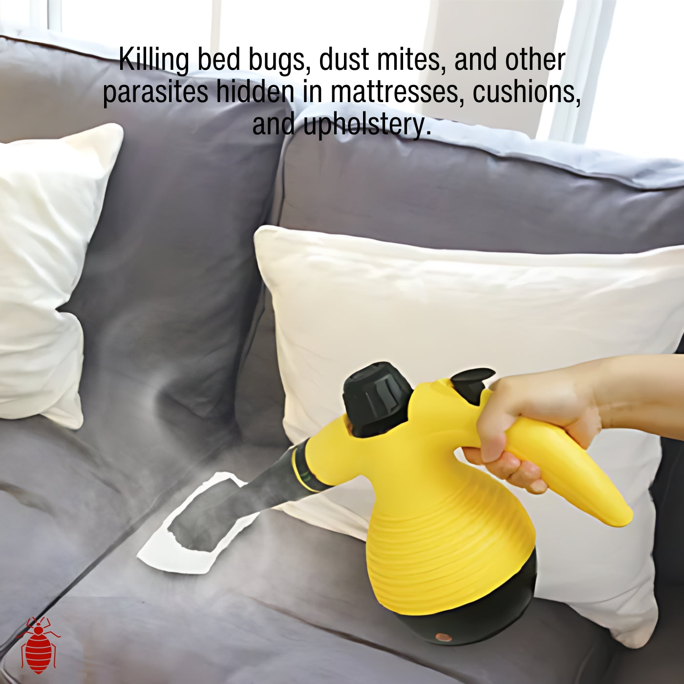 Handheld Steam Cleaner for Bed Bugs