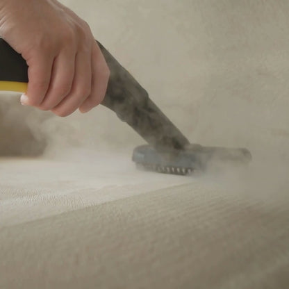 BugBlaster - Steam Cleaner for Bedbugs